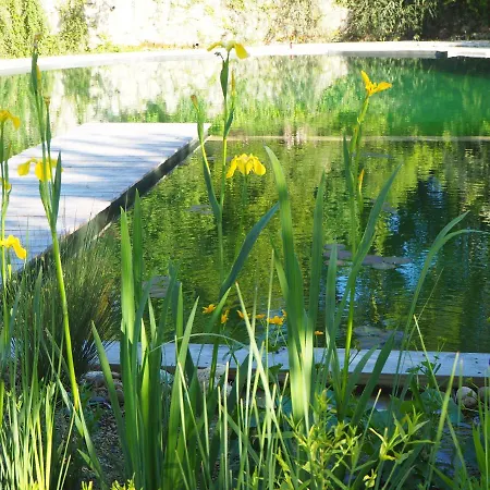 샬레 Maison Terre Les De Fallot - Sauna Bain-froid Piscine Naturelle *