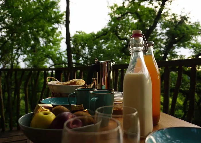 木屋 Maison Terre Les De Fallot - Sauna Bain-froid Piscine Naturelle *